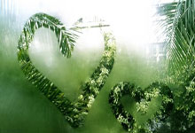 黑白直播-体操总决赛上演强强对话，川蜀霹雳队读秒扳平泰山天虎队，团队配合流畅；目标直指冠军的简单介绍